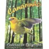 Caderno Caligrafia Canarinho 60Fls - Grafimar